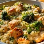 Creamy Parmesan Chicken and Broccoli Rice
